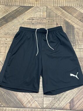 Puma Men's Training Shorts-Hoops Team Practice or teamGOAL collections medium
